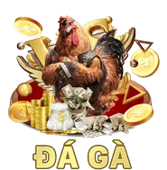 An toàn và Hỗ trợ Khách hàng